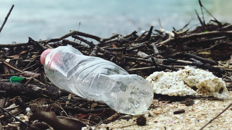 Plastics That Don’t Pollute Our Planet? How Research on Enzyme Optimization Helps To Solve One of the Biggest Challenges of Our Time